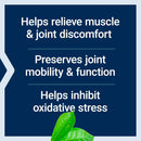 MSM 1000mg (100 Capsules) - Life Extension