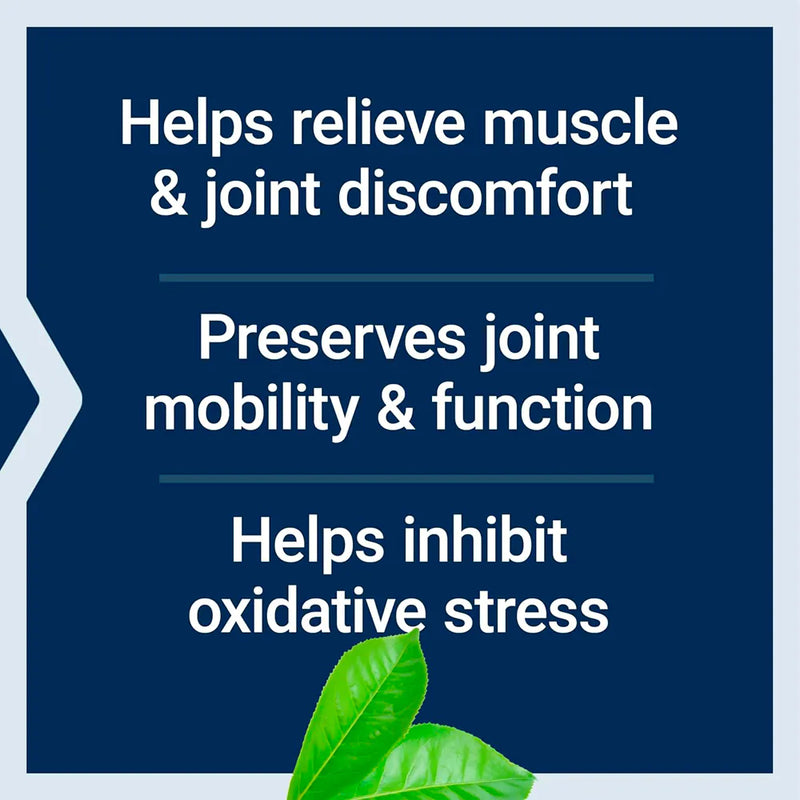 MSM 1000mg (100 Capsules) - Life Extension